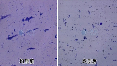 高壓均質(zhì)機(jī)助力菌絲體樣品的前處理均質(zhì)破碎|提取硒多糖